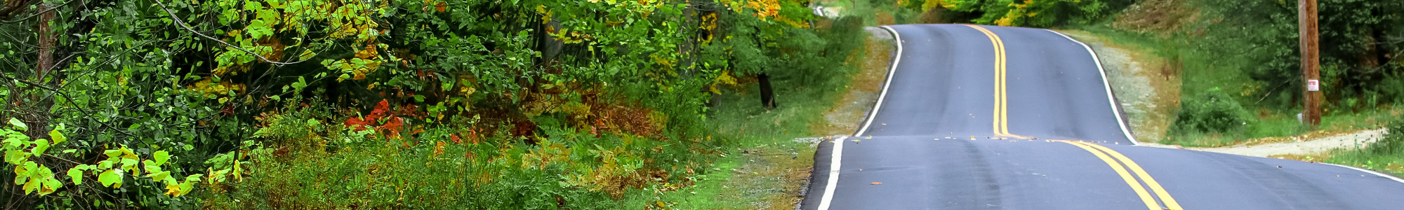 Rural road winds through a vegetated landscape